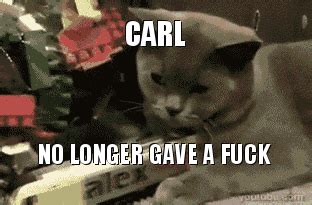 Bad language humor – Profanity and humor like peas in a pod - PMSLweb | Cute cat memes, Cat ...