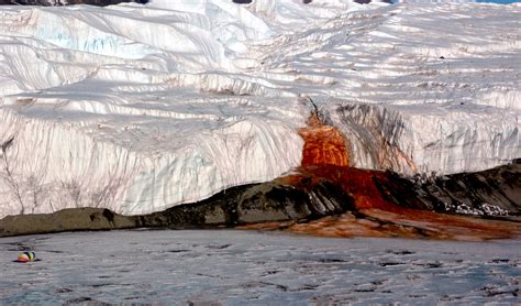 A Waterfall Runs Red Into Lake Bonney - Lake Scientist