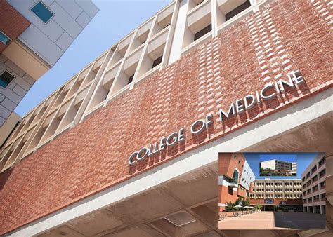 2024 College of Medicine – Tucson Faculty Awards | Department of Medicine