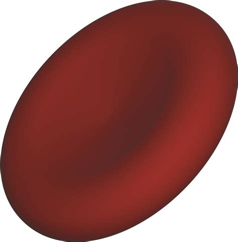 Download Red Blood Cells Blood Health Royalty-Free Stock Illustration ...