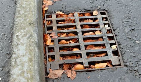 Top 6 causes of a blocked drain SH Drains - 07970883333