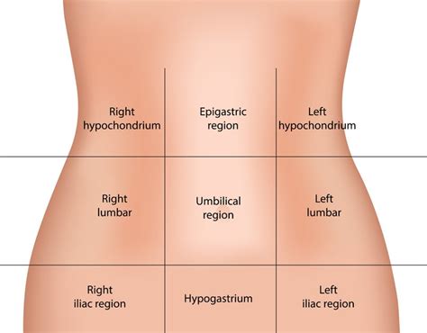 Upper Abdominal Pain: Find Out What is Causing It and What You Can Do ...