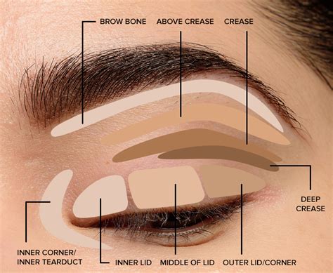 A Comprehensive Guide To Eye Makeup Names: Unveiling The Language Of ...