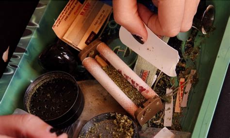 Joint Roller Tips and Tricks You Need To Know - Strain Cannabis Dispensary