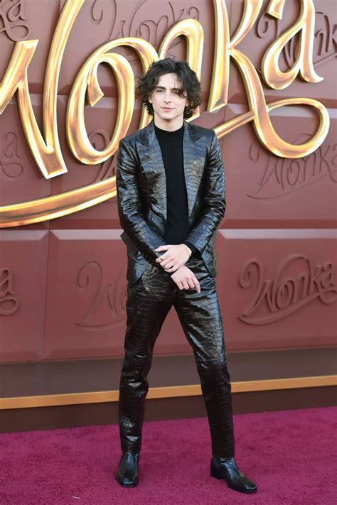 Timothée Chalamet Continues His Style Hot Streak at Wonka Premiere in L.A. — See His Look!