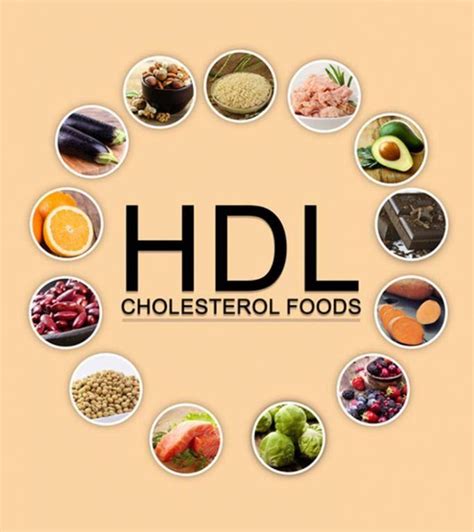 25-HDL-Cholesterol-Foods-To-Include-In-Your-Diet #reducecholesterol | Lower cholesterol diet ...