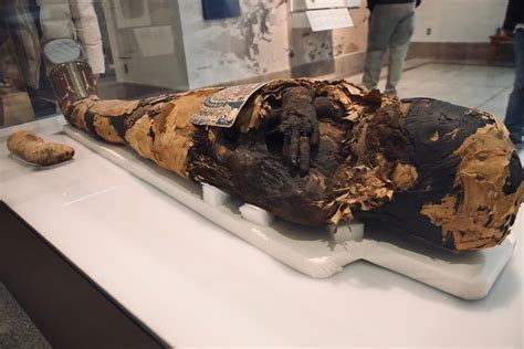 Photo Essay | Penn Museum's new Egyptian exhibit preserves mummies and rare artifacts | The ...