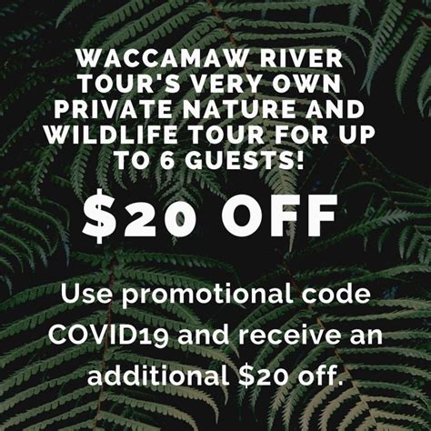 Waccamaw River Tours | Nature & Wildlife Boat Tours in Myrtle Beach, SC ...