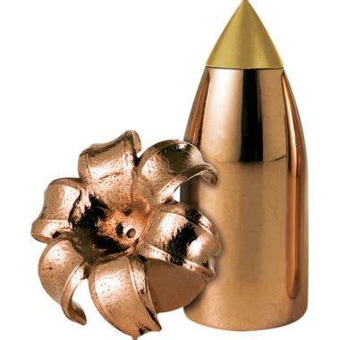 Buy Remington® Premier AccuTip™ Muzzleloader Bullets – Per 24 - Alpha ...