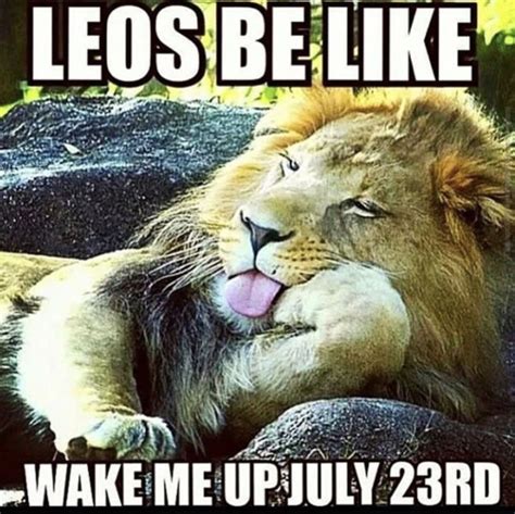 Pin by Denise on Sun in Leo, Moon in Scorpio, Pluto Rising | Funny ...