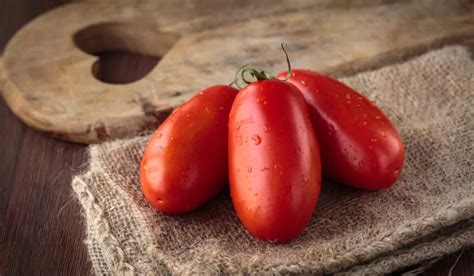 10 Best Tomatoes for Canning - Farmhouse Guide