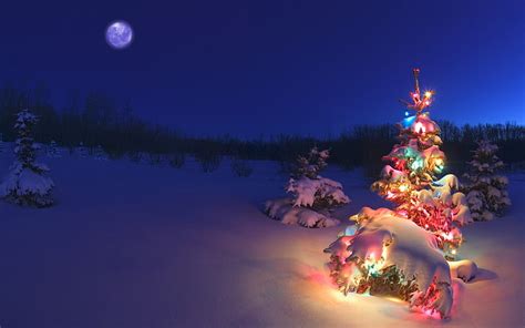 HD wallpaper: Christmas tree wallpaper, holiday, christmas lights, landscape | Wallpaper Flare