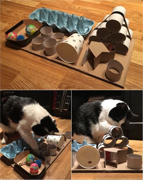 DIY puzzle feeder for cats | Cat diy, Diy cat toys, Cats diy projects