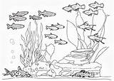 Complete Fish Tank Coloring Page  NetArt sketch template