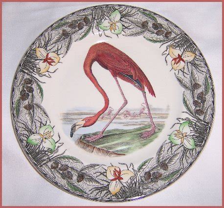 Birds of America By Adams Audubon Plate FLAMINGO | #23283975