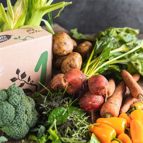 Organic Seasonal organic veg box - small / Riverford