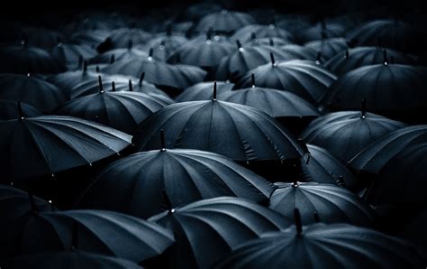 Anonymity by Laszlo Baranyai / 500px | Umbrella photography, Black ...