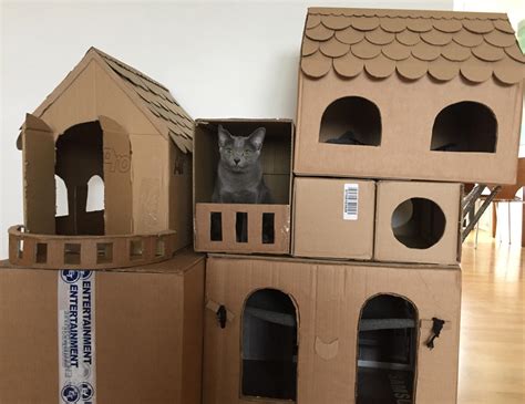 Kitty House | lupon.gov.ph