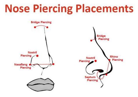 Nose Piercing FAQs | Nose piercing, Nose piercing placement, Nose piercing stud placement