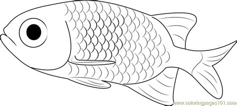 Small Fish Coloring Page for Kids - Free Other Fish Printable Coloring ...