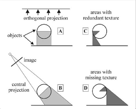 The question of occlusion. A: surface occlusion in the direction of... | Download Scientific Diagram