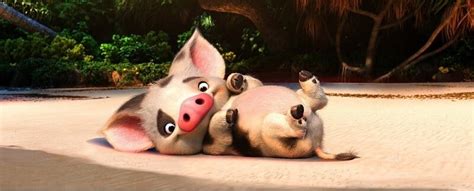 VIDEO: Say hello to Pua the pig! The cutest character in the upcoming ...