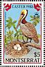 Birds on stamps: Montserrat
