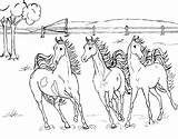 Free Printable Horse Coloring Pages For Kids sketch template
