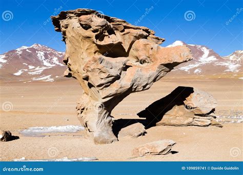 Stone Tree rock, Bolivia stock image. Image of altiplano - 109859741