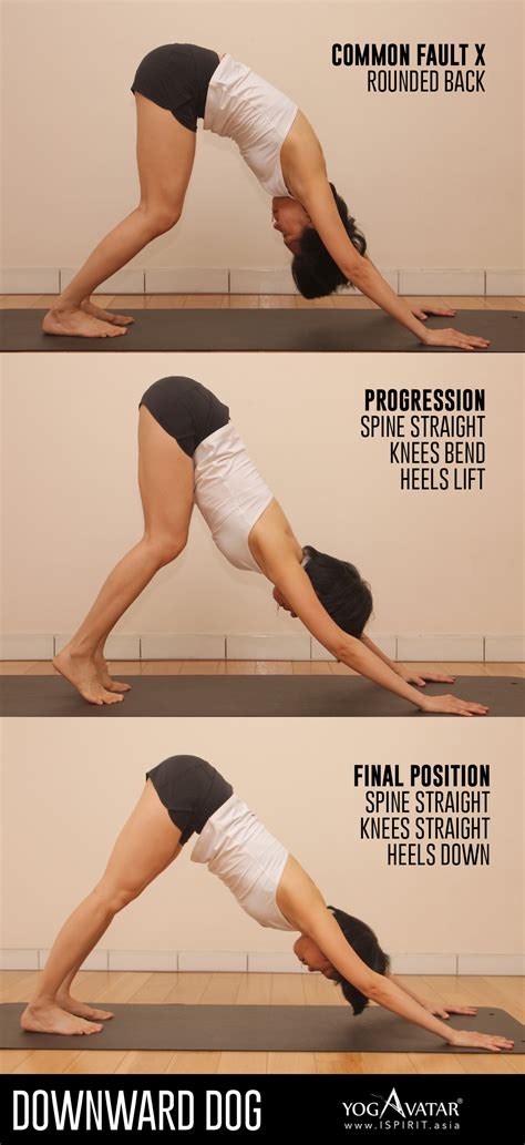 11+ Yoga Positions Downward Dog | Yoga Poses