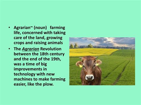 PPT - The Agrarian Revolution PowerPoint Presentation, free download - ID:2111131