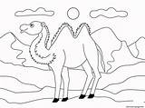 Camel Animal Simple Coloring page Printable sketch template