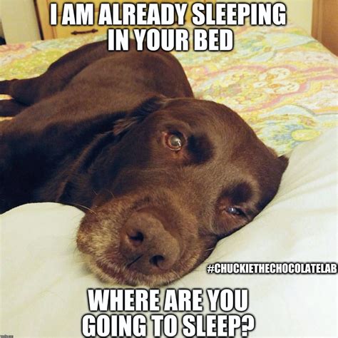 Where are you going to sleep? - Imgflip