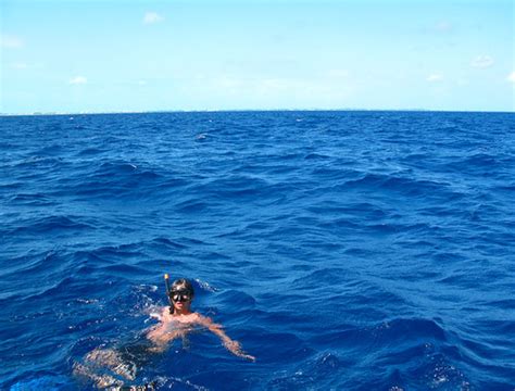 snorkeling in the bermuda triangle | kenji ross | Flickr