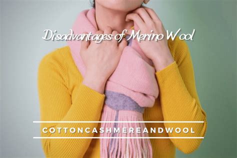 Disadvantages of Merino Wool: The Ultimate Guide of 2023