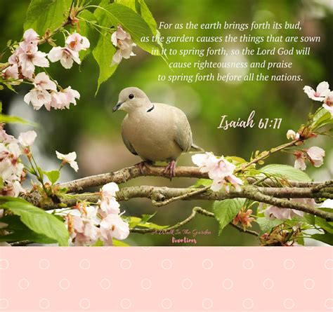 A Walk In The Garden: Righteousness and Praise Shall Spring Forth