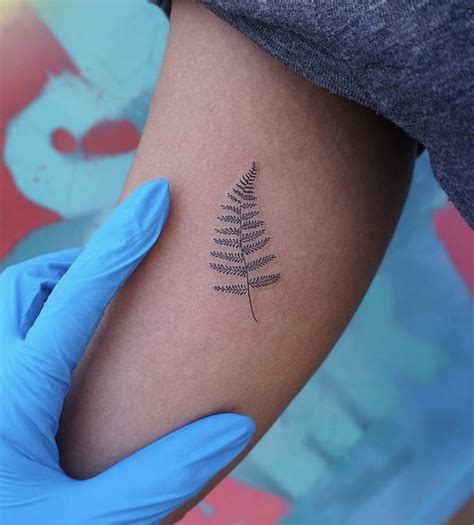 Pin by Sheena Shepherd on Tattoo in 2023 | Fern tattoo, Hip tattoos women, Small tattoos
