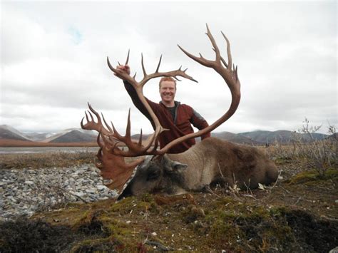 Alaska Caribou Hunts | Tyrrell's Trails Brooks Range Hunting Outfitter