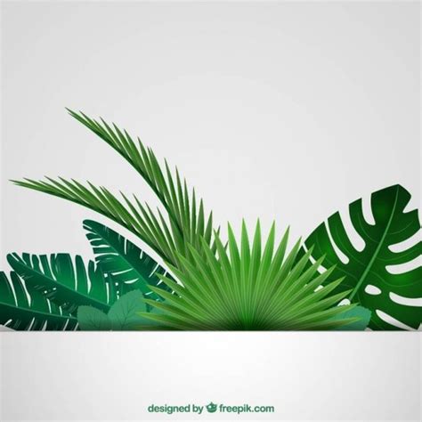 Tropical Leaves Background Free Vector | free vectors | UI Download