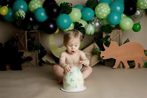 Dinosaur cake smash | Andrea Ryerson Photography