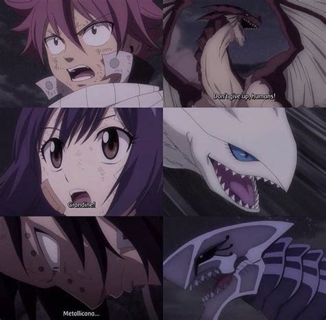 The Fairy Tail Dragon Slayers and their Dragon parents | Fairy tail ...