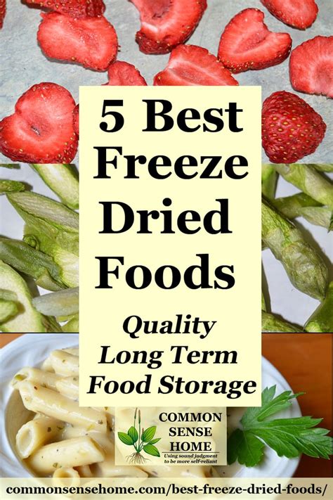 5 Best Freeze Dried Foods - Quality Long Term Food Storage