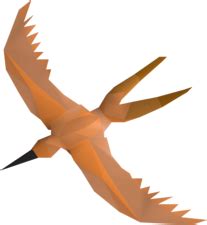Copper longtail - OSRS Wiki