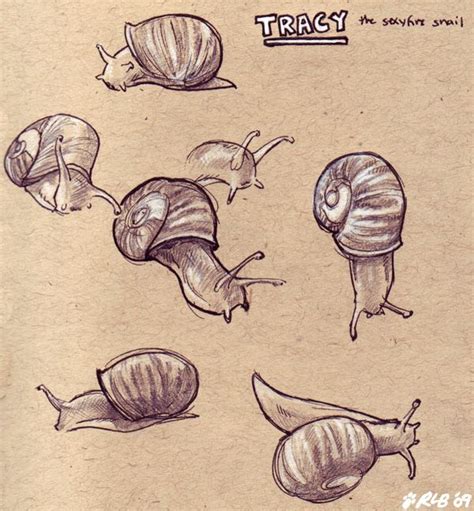 Tracy the Snail | Snail art, Animal drawings, Animal sketches