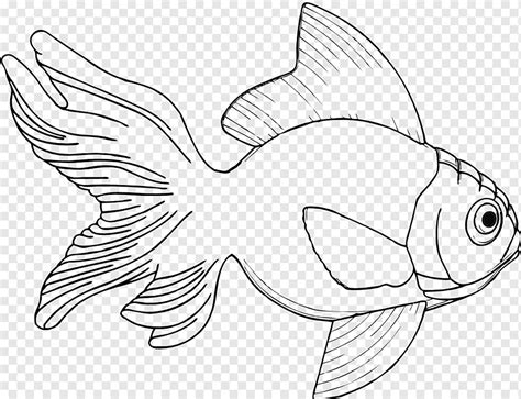 Drawing Fish Coloring book, ikan koi, animals, seafood, fauna png | PNGWing