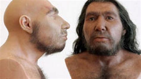 Neanderthal or Cro-magnon | Raza caucásica, Evolución humana, Mortalidad infantil