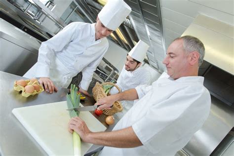 Chef and Helpers in Kitchen Stock Image - Image of ingredient, specialty: 103102829