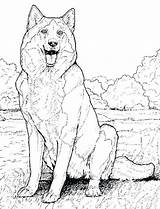 Printable Realistic Animal Coloring Pages At GetColoringscom  Free sketch template