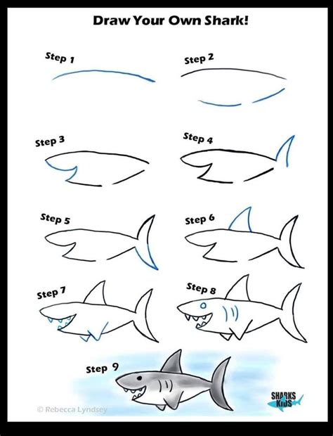 Pin on Shark drawing easy
