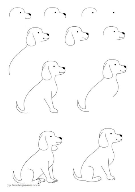 How To Draw Easy Animals (Step By Step Image Guides) - Bored Art | Easy ...